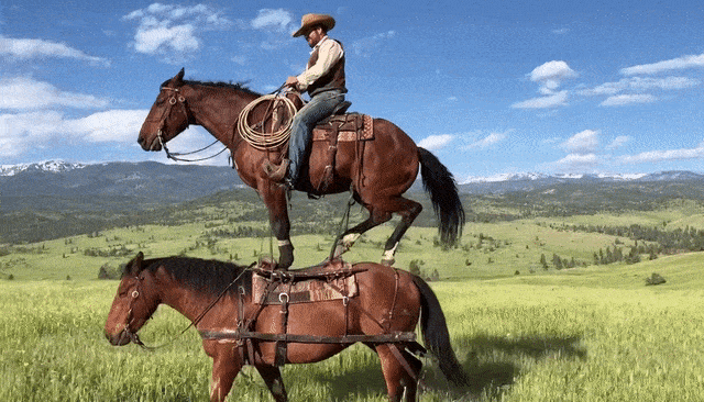 刚刚，OpenAI Sora 2重磅登场！首个APP上线，或将成为AI时代新TikTok-10.jpg