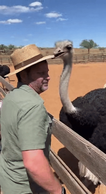 刚刚，OpenAI Sora 2重磅登场！首个APP上线，或将成为AI时代新TikTok-17.jpg